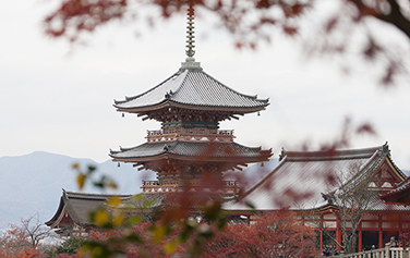 Japón abre sus fronteras al turismo sin restricciones